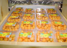 Caribbean Exotics new golden berry variety in the US market, which is already popular in Europe.
